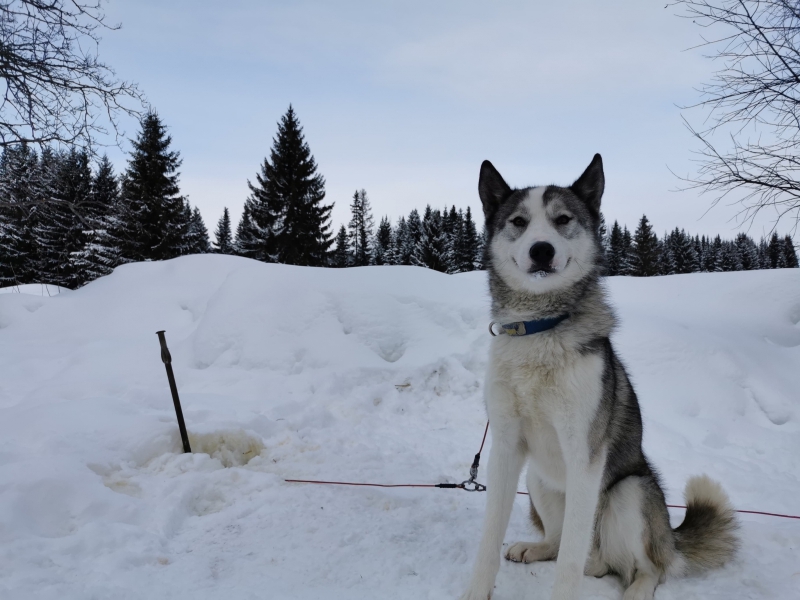 84267046_145902326599205_8128146971123777536_n