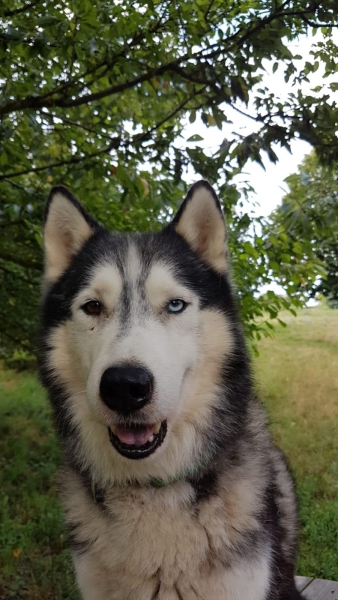 67845254_480516569178582_5642692904947286016_n