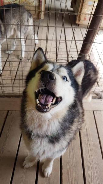 69370673_2728079220752093_3359334766787690496_n