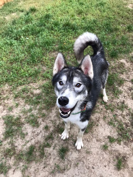 WhatsApp-Image-2021-09-14-at-09.04.10