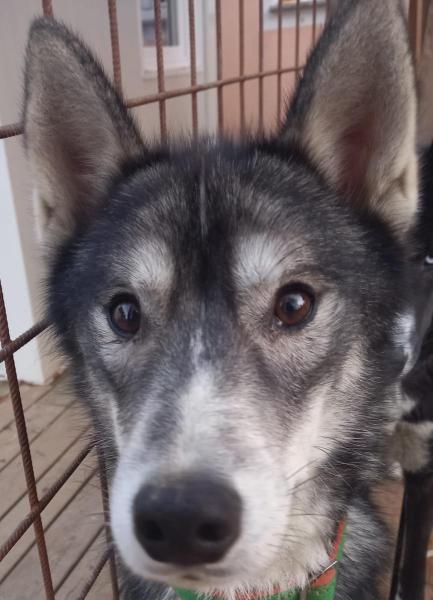 WhatsApp-Image-2021-11-16-at-16.04.33