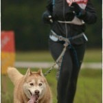 1556332_853807594659172_3050526551657208521_o-150x150