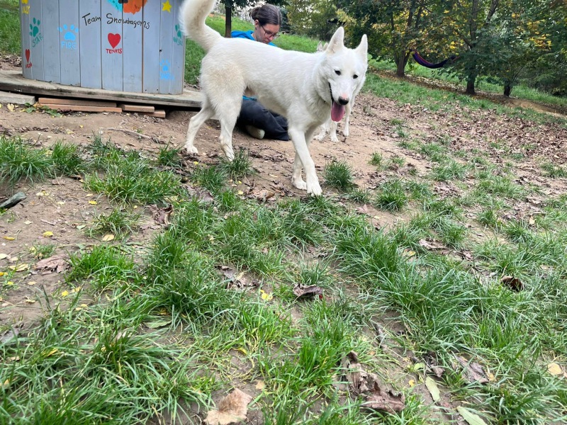 310460315_737976307886745_44083158485469033_n