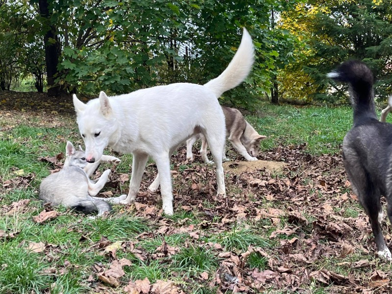 311040834_789391319034867_4760228446732594916_n