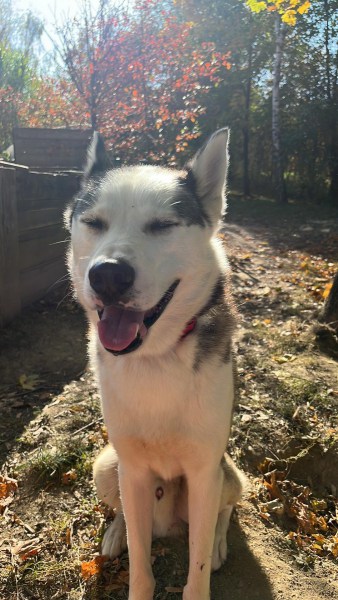 295849383_624281059154947_8638153604005098641_n