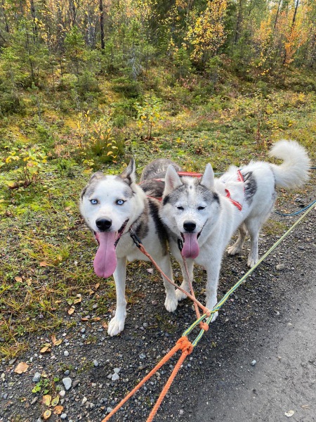 308161267_514937040473212_4961712182721669780_n