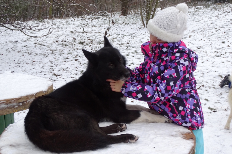 Advent-bei-den-Snowdragons-11