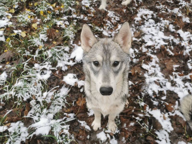 316851641_1987992868072843_2643699930499328325_n