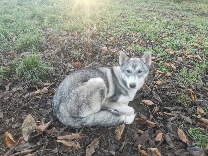 316609211_482400437207359_1230875176477038393_n