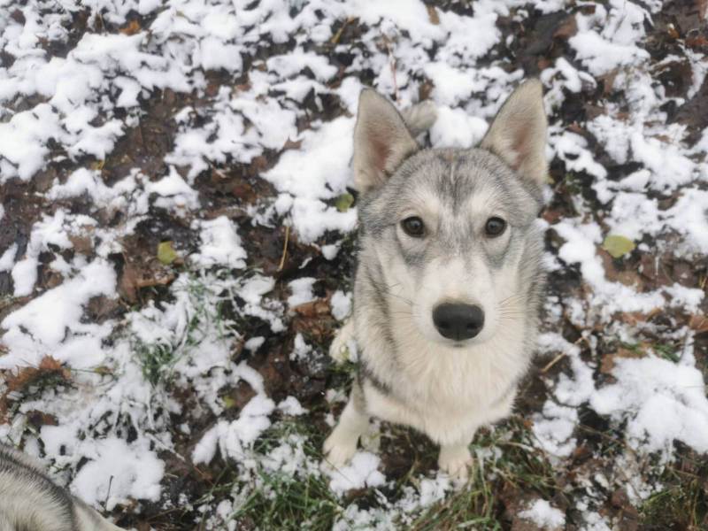 316725560_863318014677990_6929221234594744022_n