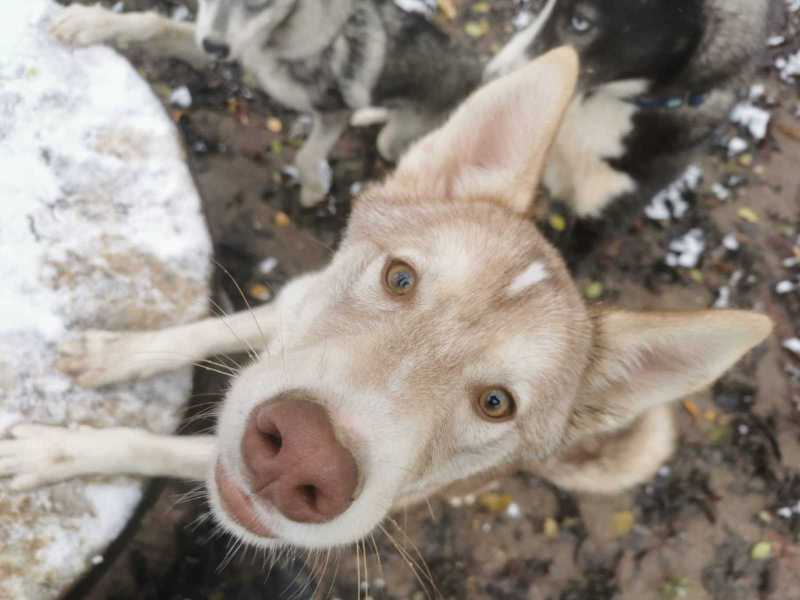 316622316_877911813225199_7238017354181523631_n