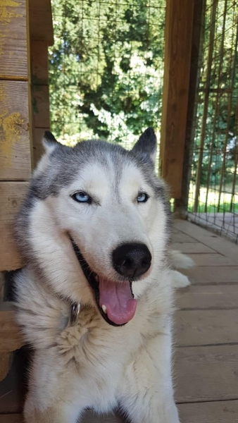 69958224_743573549412870_3573664449585741824_n