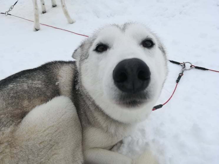 51632714_399110104184051_5898145971891601408_n