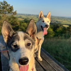 WhatsApp-Image-2026-03-13-at-08.08.231