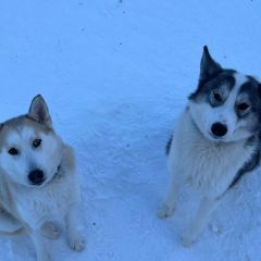 WhatsApp-Image-2026-03-13-at-08.11.04