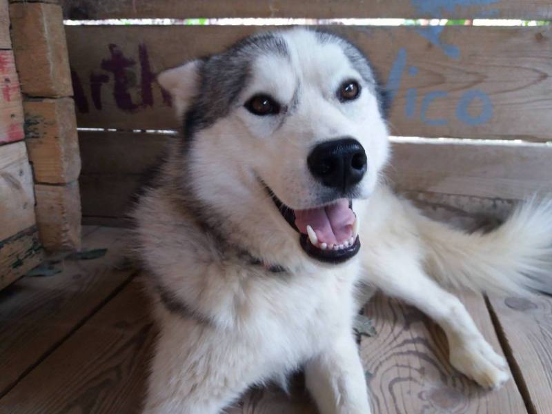 37796201_317085005499887_3077738285452230656_n