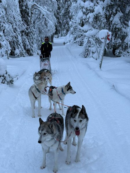 WhatsApp-Image-2026-03-29-at-10.05.303