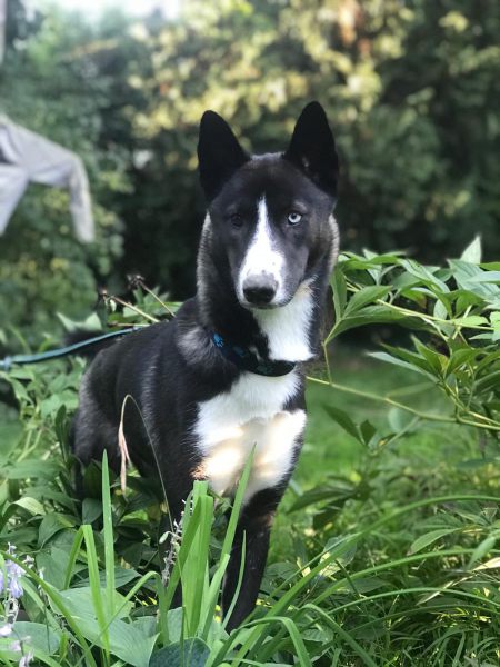 WhatsApp-Image-2021-09-09-at-20.56.29