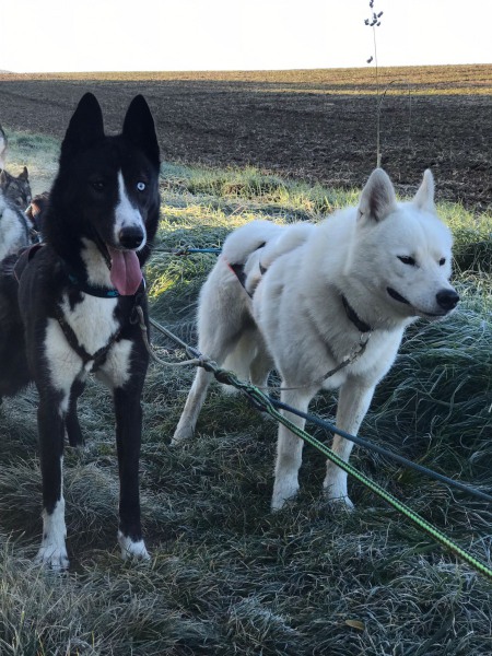 WhatsApp-Image-2021-10-24-at-09.37.25