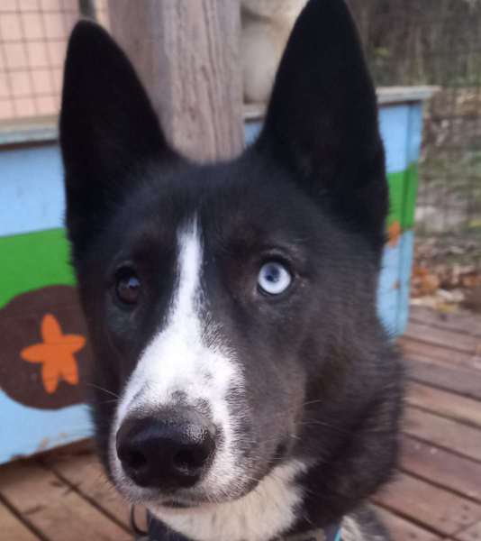 WhatsApp-Image-2021-11-16-at-16.11.21